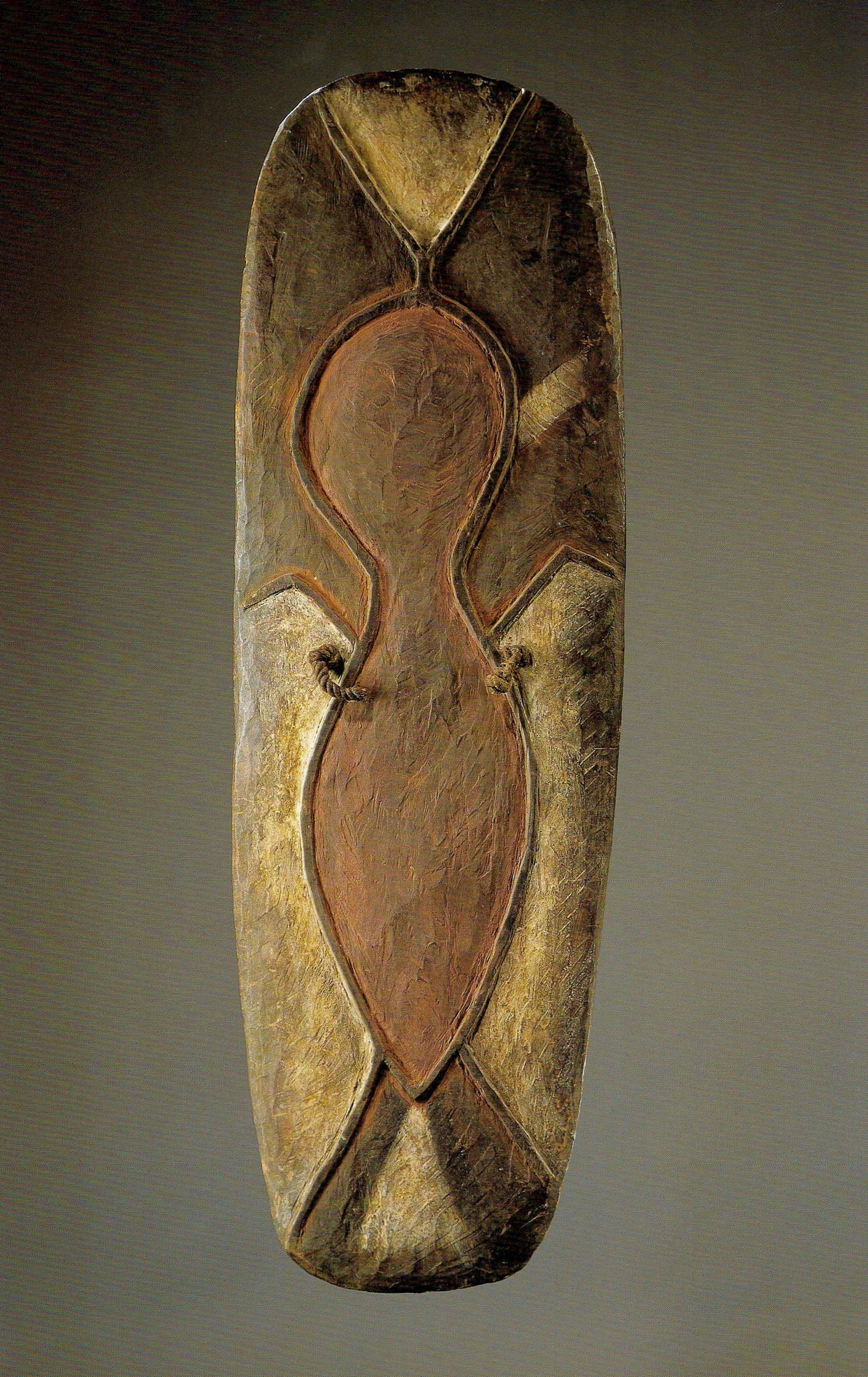 A Wola War Shield